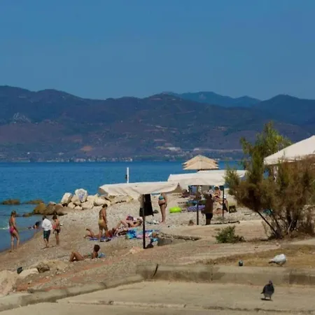 Mare - Mare A *