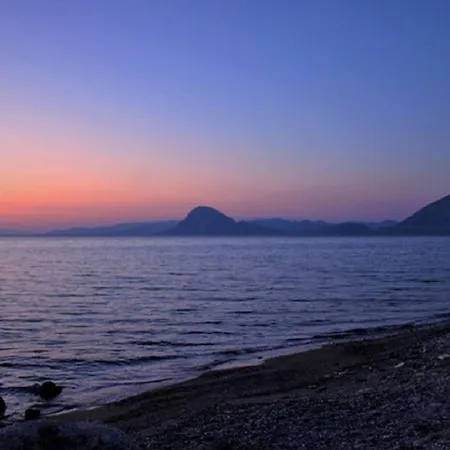 Mare - Mare A *