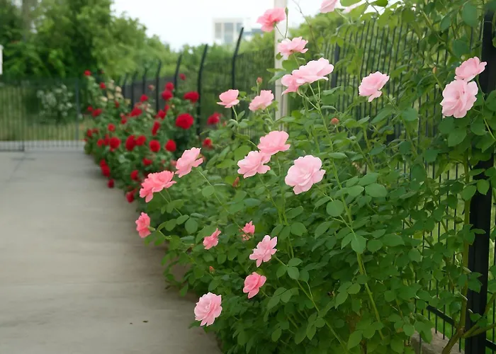 Apartmán Mare - Mare A Patras